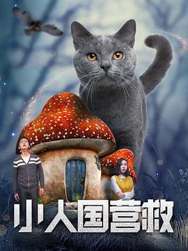 在线一级片