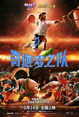 师父搞tv