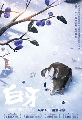 坐脸的视频vk