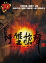 国产精品久久久久9999高清