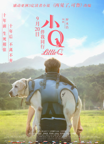 丁香六月婷