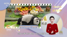 美女比基尼被c